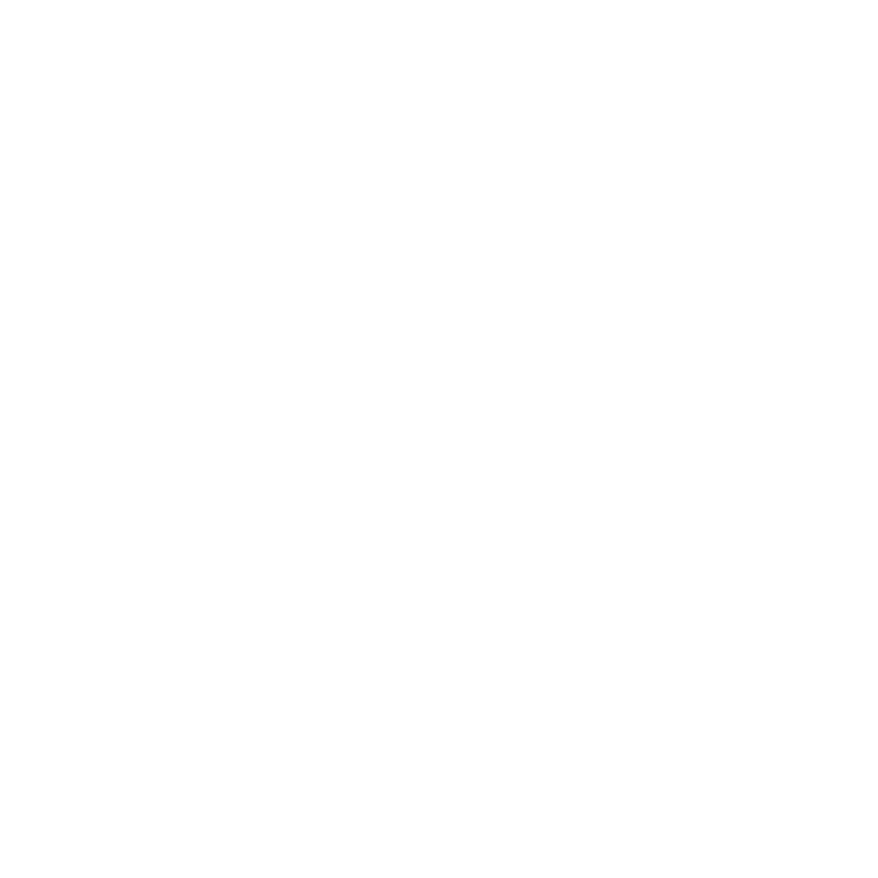 017-1-1aspen